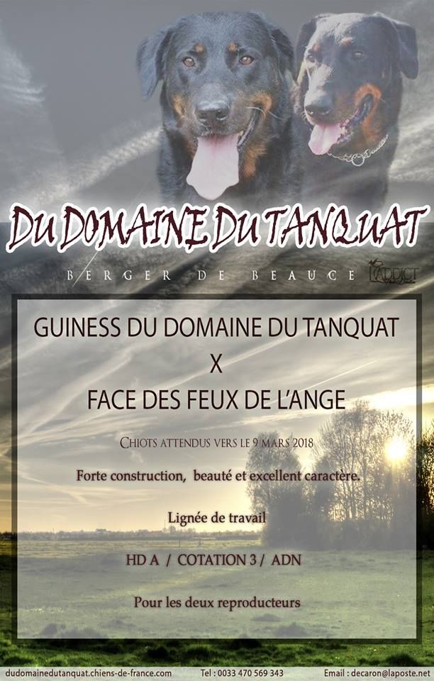 Du Domaine Du Tanquat - Une belle rencontre...!