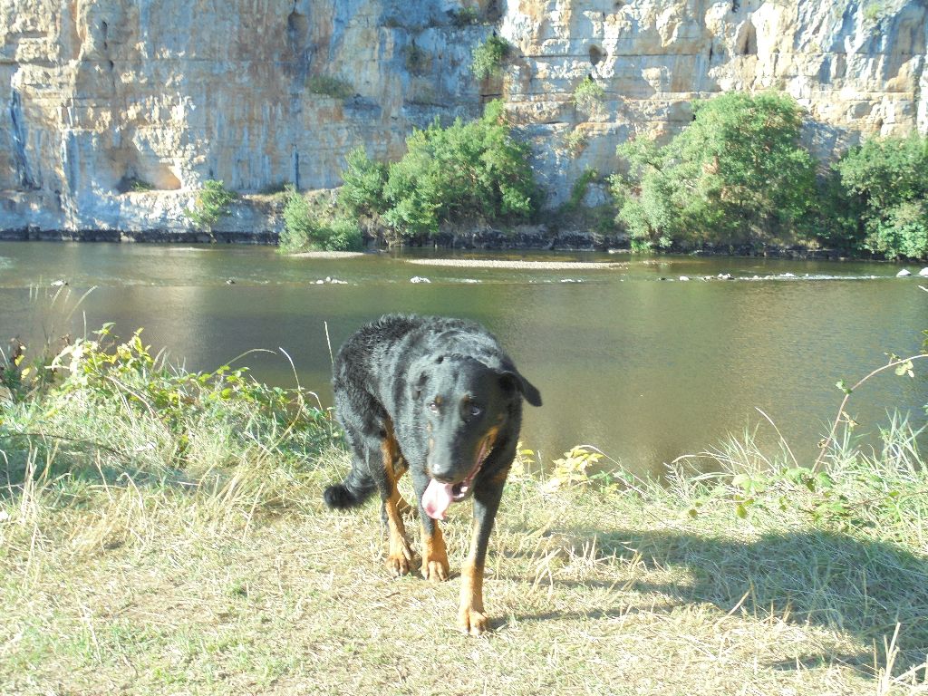 Orkid Du Domaine Du Tanquat