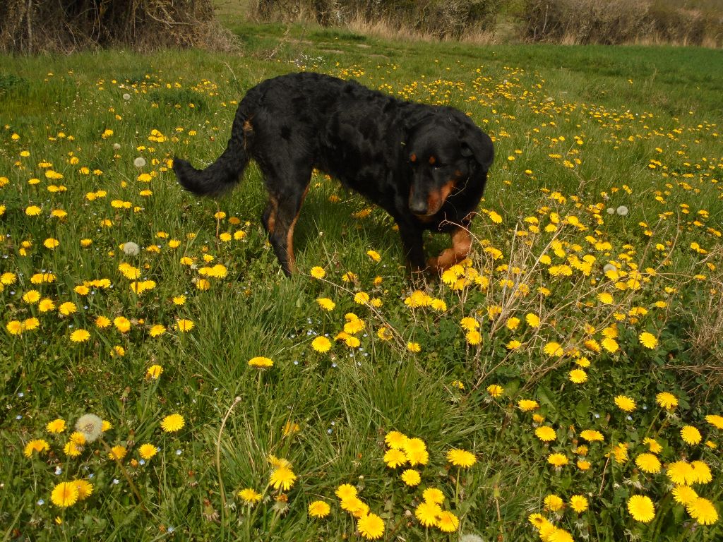 Maddy Du Domaine Du Tanquat