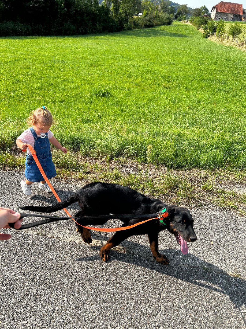 Métamorphose des 'petits' sous l'oeil de leur famille.....